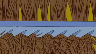 15 sezonas – 15 serija