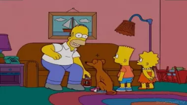 17 sezonas – 15 serija